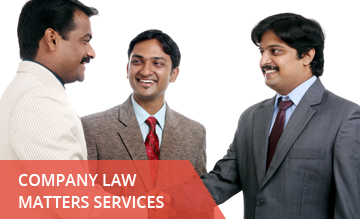 Company Law Matters Services