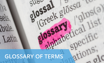 Glossary of Terms
