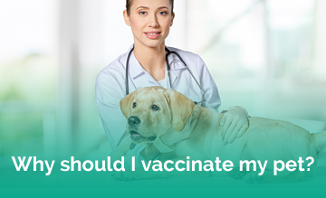 Pet Vaccinations